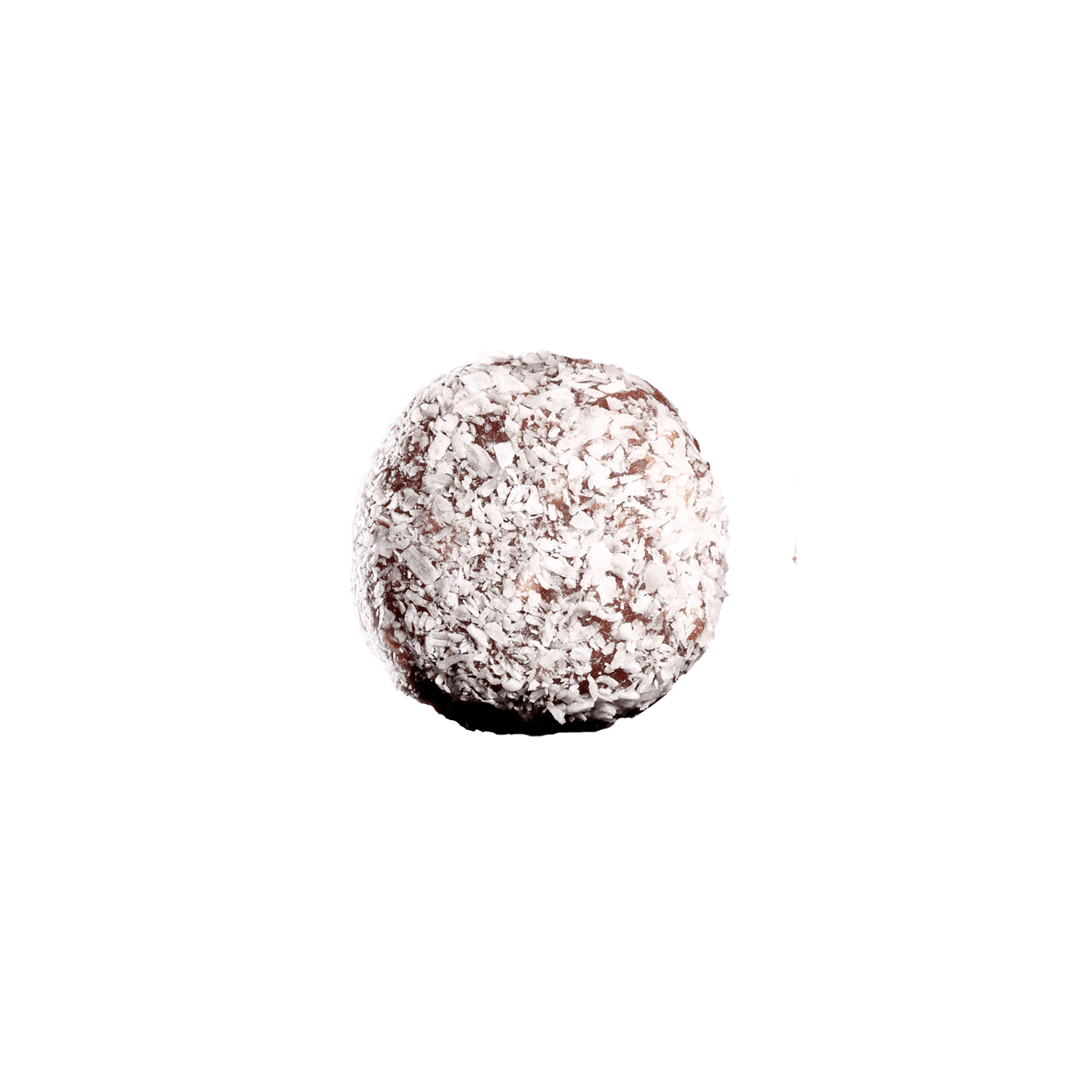 Coconut Hazelnut Balls